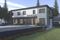 projekt kostki brukowej, projekt elewacji, projekt ogrodzenia, wizualizacja