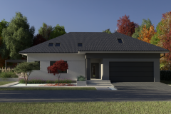 projekt kostki brukowej