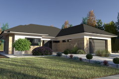 projekt kostki brukowej